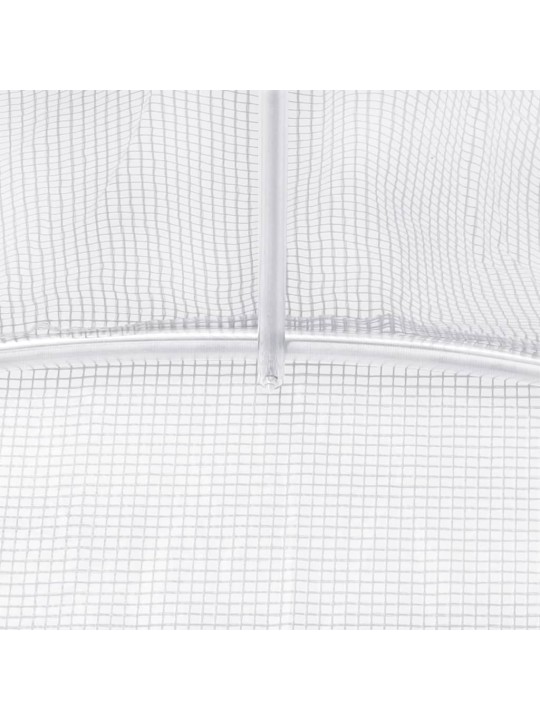 Kasvuhoone terasraamiga, valge, 12 m², 6x2x2,85 m