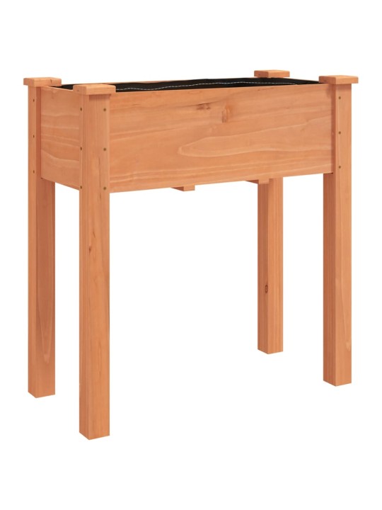 VOODRIGA TAIMELAVA, PRUUN, 71 X 37 X 76 CM, NULUPUIT