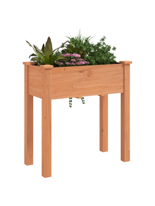 VOODRIGA TAIMELAVA, PRUUN, 71 X 37 X 76 CM, NULUPUIT