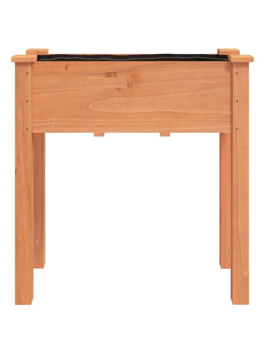 VOODRIGA TAIMELAVA, PRUUN, 71 X 37 X 76 CM, NULUPUIT