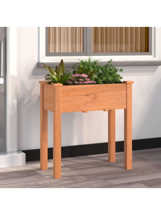 VOODRIGA TAIMELAVA, PRUUN, 71 X 37 X 76 CM, NULUPUIT