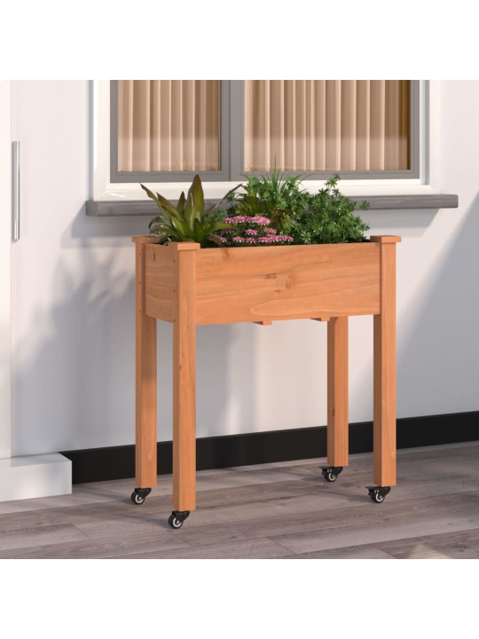 VOODRIGA TAIMELAVA RATASTEGA, PRUUN, 71 X 37 X 80 CM, NULUPUIT
