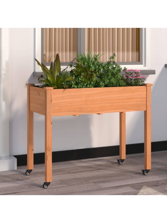 VOODRIGA TAIMELAVA RATASTEGA, PRUUN, 118X59X80 CM, NULUPUIT