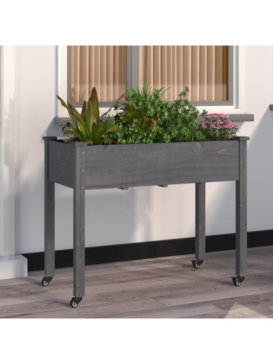 VOODRIGA TAIMELAVA RATASTEGA, HALL, 118X59X80 CM, NULUPUIT