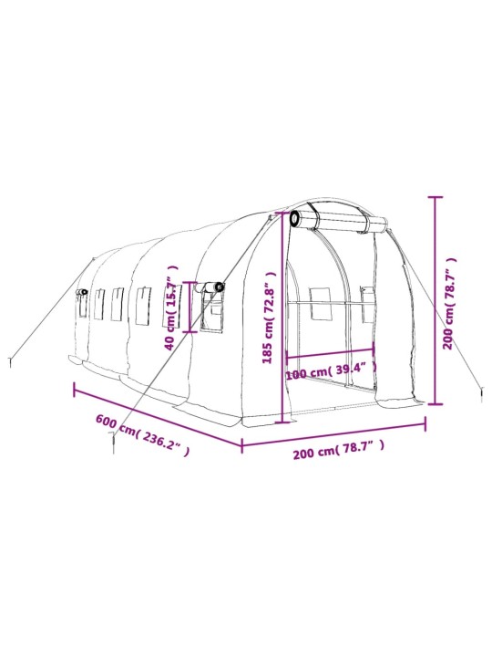 Kasvuhoone terasraamiga, valge, 12 m², 6x2x2 m