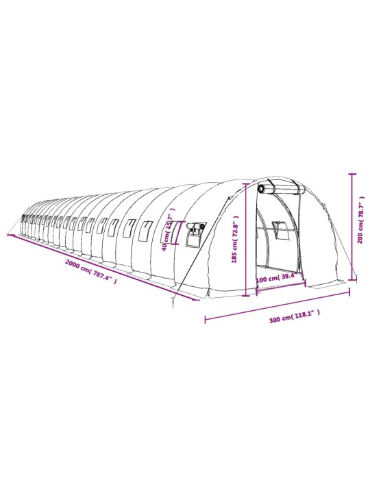 Kasvuhoone terasraamiga, valge, 60 m², 20x3x2 m