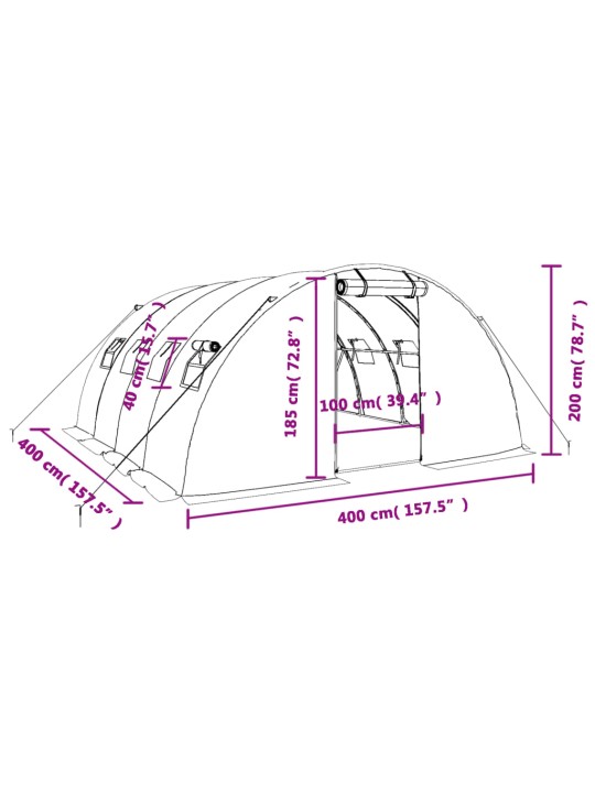 Kasvuhoone terasraamiga, roheline, 16 m², 4x4x2 m