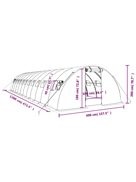 Kasvuhoone terasraamiga, roheline, 48 m², 12x4x2 m