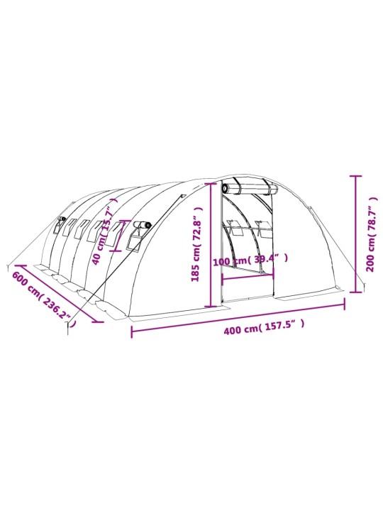 Kasvuhoone terasraamiga, valge, 24 m², 6x4x2 m