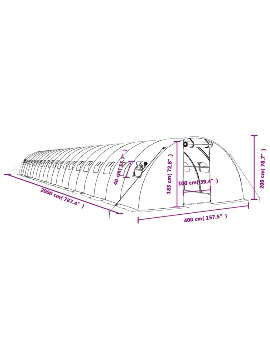 Kasvuhoone terasraamiga, valge, 80 m², 20x4x2 m