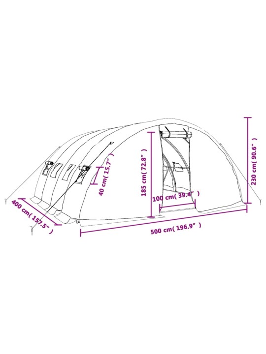 Kasvuhoone terasraamiga, valge, 20 m², 5x4x2,3 m