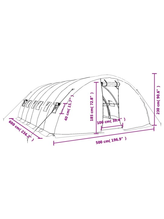 Kasvuhoone terasraamiga, valge, 30 m², 6x5x2,3 m