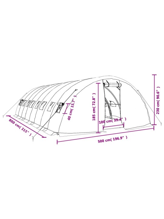 Kasvuhoone terasraamiga, valge, 40 m², 8x5x2,3 m