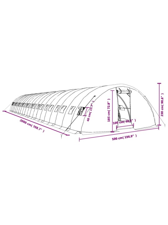 Kasvuhoone terasraamiga, valge, 100 m², 20x5x2,3 m