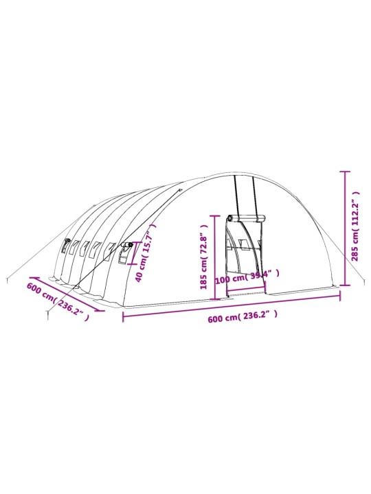 Kasvuhoone terasraamiga, roheline, 36 m², 6x6x2,85 m