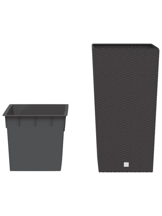 TAIMEKAST EEMALDATAVA SISUGA, PRUUN, 21 / 49 L PP-ROTANG