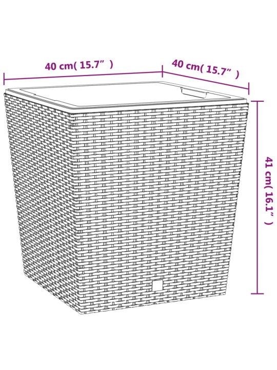 Taimekast eemaldatava sisuga, antratsiithall, 37/64 l pp-rotang