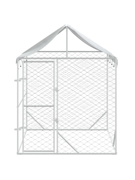 Katusega koeraaedik, hõbedane, 2x2x2,5 m, tsingitud teras