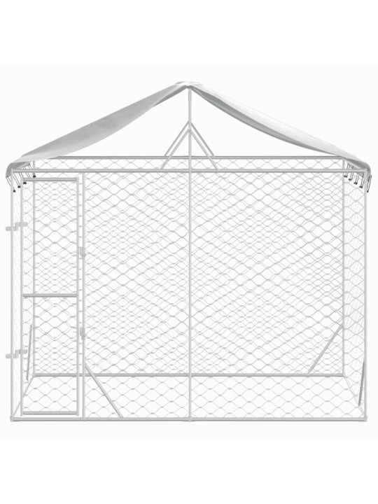 Katusega koeraaedik, hõbedane, 3x1,5x2,5 m, tsingitud teras