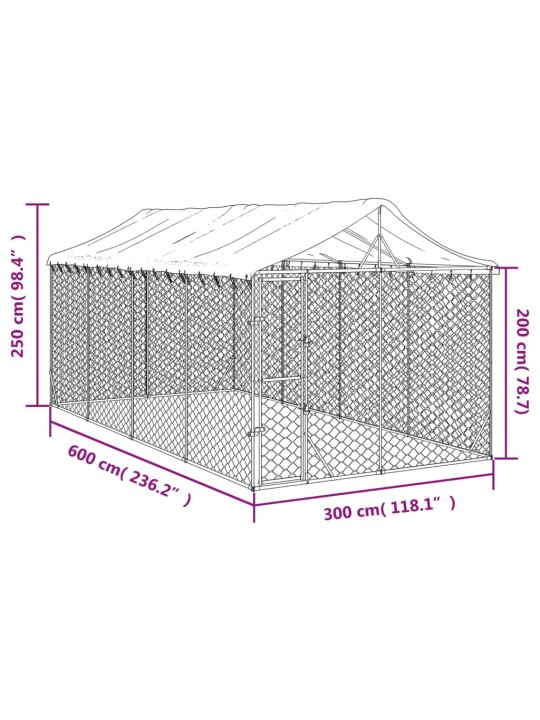 Katusega koeraaedik, hõbedane, 3x6x2,5 m, tsingitud teras