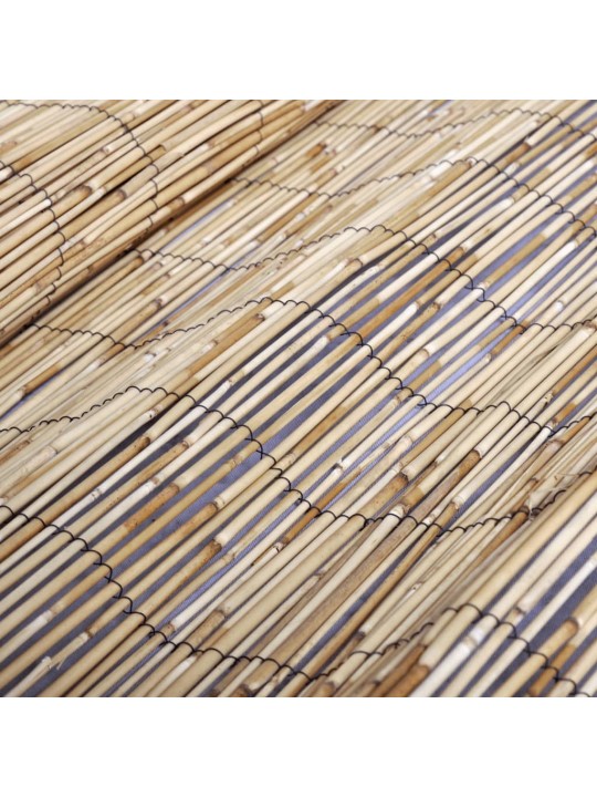 AIAPIIRE, 400 X 100 CM, PILLIROOG