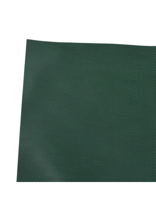 Present, roheline, 5 x 8 m, 650 g/m²