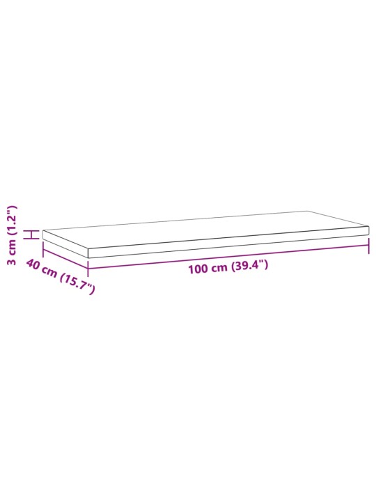 Seinariiulid 2 tk, 100x40x3 cm, hõbedane, roostevaba teras