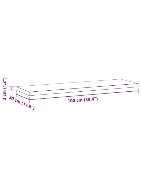 Seinariiulid 2 tk, 100x30x3 cm, hõbedane, roostevaba teras