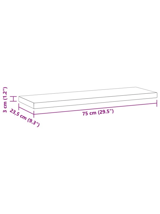 Seinariiulid 2 tk, 75x23,5x3 cm, hõbedane, roostevaba teras