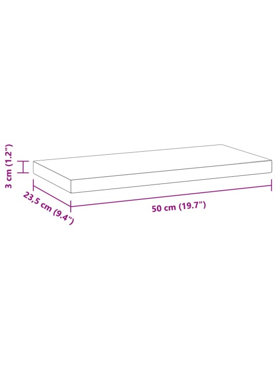 Seinariiulid 2 tk, 50x23,5x3 cm, hõbedane, roostevaba teras