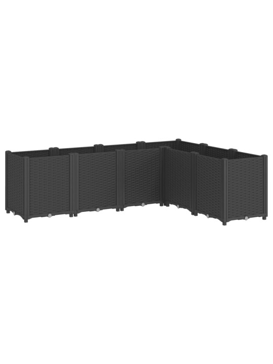 AIA TAIMEKAST, MUST, 160 X 120 X 53 CM, PP
