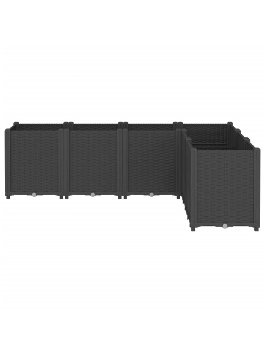 AIA TAIMEKAST, MUST, 160 X 120 X 53 CM, PP