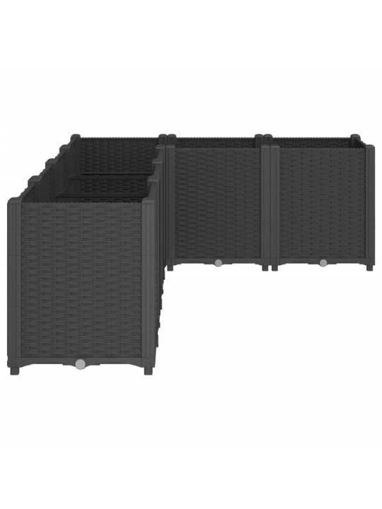 AIA TAIMEKAST, MUST, 160 X 120 X 53 CM, PP