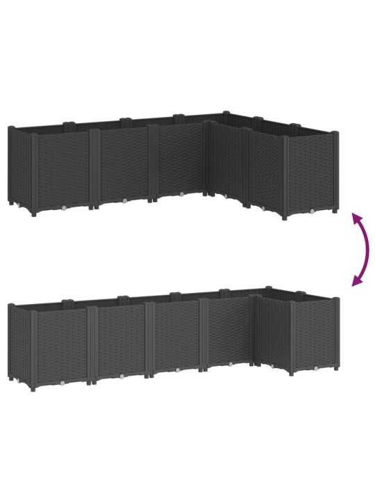 AIA TAIMEKAST, MUST, 160 X 120 X 53 CM, PP