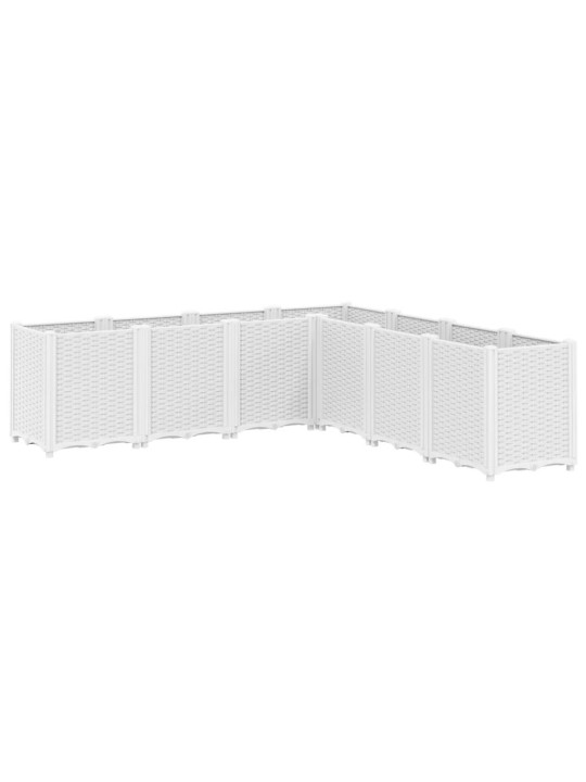 AIA TAIMEKAST, VALGE, 160 X 160 X 53 CM, PP