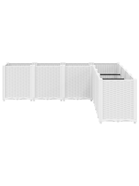 AIA TAIMEKAST, VALGE, 160 X 160 X 53 CM, PP