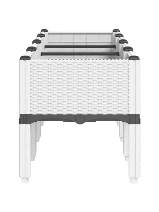 Jalgadega taimekast, valge, 160 x 40 x 42 cm, pp