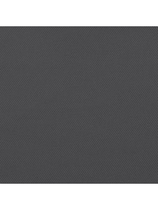 RÕDUSIRM, ANTRATSIITHALL, 120X700 CM, 100% POLÜESTER OXFORD