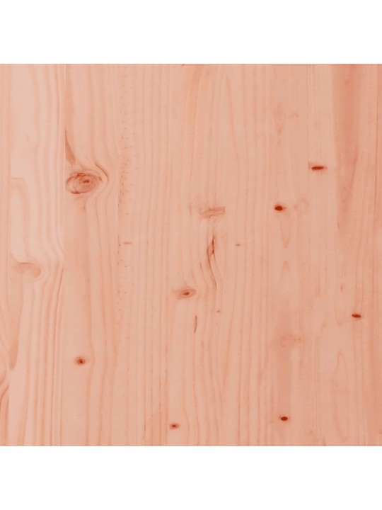 AIAPINK TAIMEKASTIDEGA, 167,5X60X65 CM, EBATSUUGA PUIT