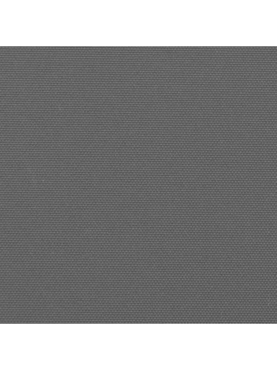 LAHTITÕMMATAV KÜLGSEIN, ANTRATSIITHALL, 220 X 600 CM