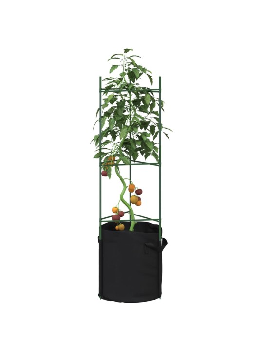 Tomatitaime tugi koos taimekotiga 2 tk, 116 cm, teras ja pp