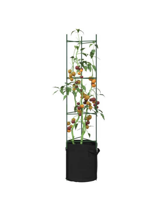 Tomatitaime tugi koos taimekotiga 2 tk, 154 cm, teras ja pp