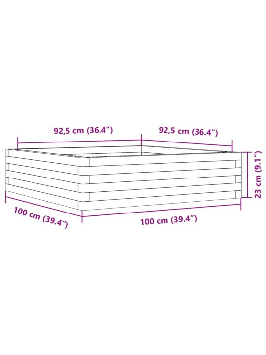 Aia taimekast, 100x100x23 cm, männipuit