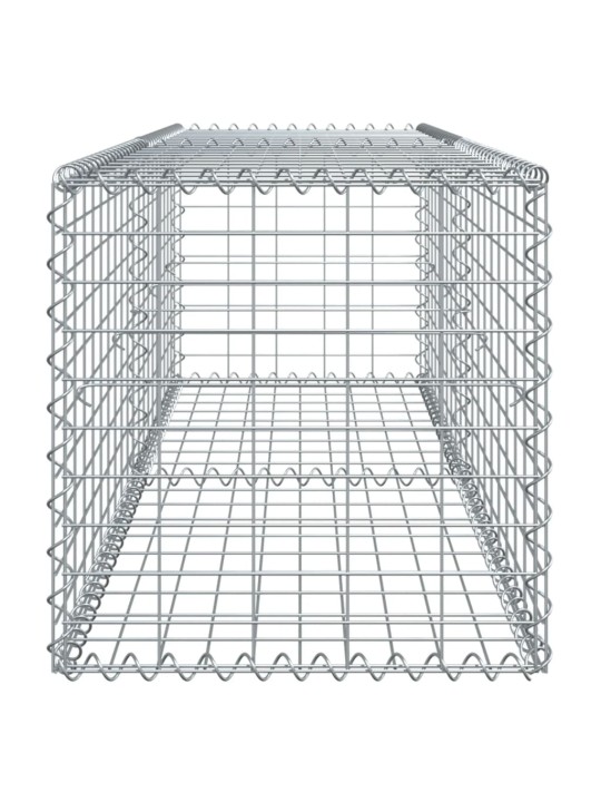 Kaanega gabioonkorv, 200 x 50 x 50 cm, tsingitud raud