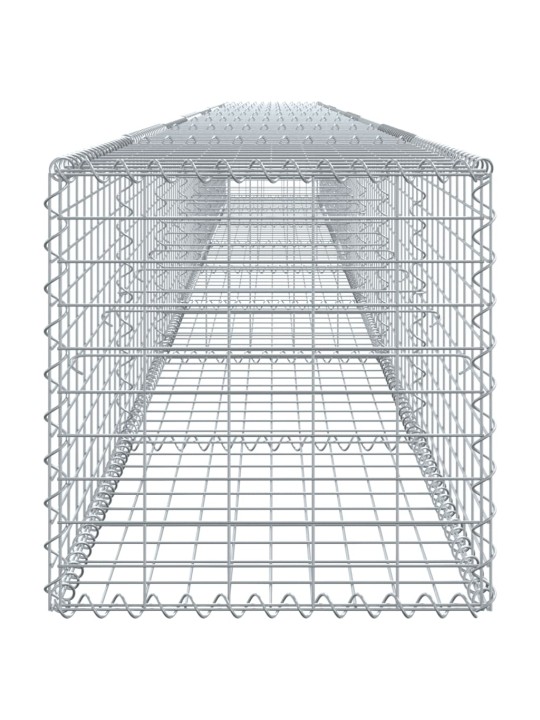 Kaanega gabioonkorv, 800x50x50 cm, tsingitud raud