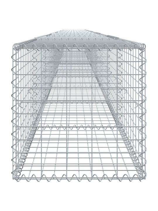 Kaanega gabioonkorv, 1000 x 50 x 50 cm, tsingitud raud