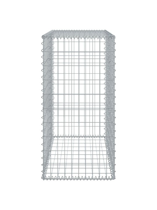 Kaanega gabioonkorv, 100 x 50 x 50 cm, tsingitud raud