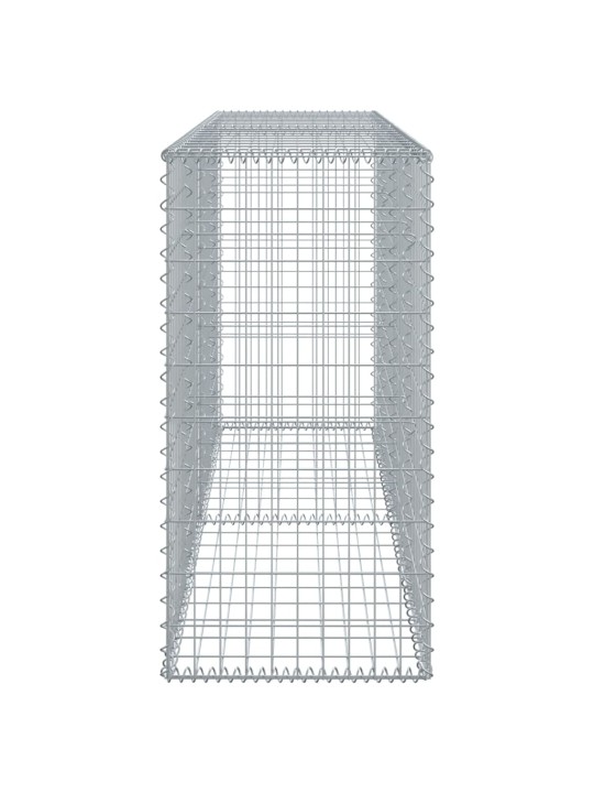 Kattega gabioonkorv, 200 x 50 x 100 cm, tsingitud raud