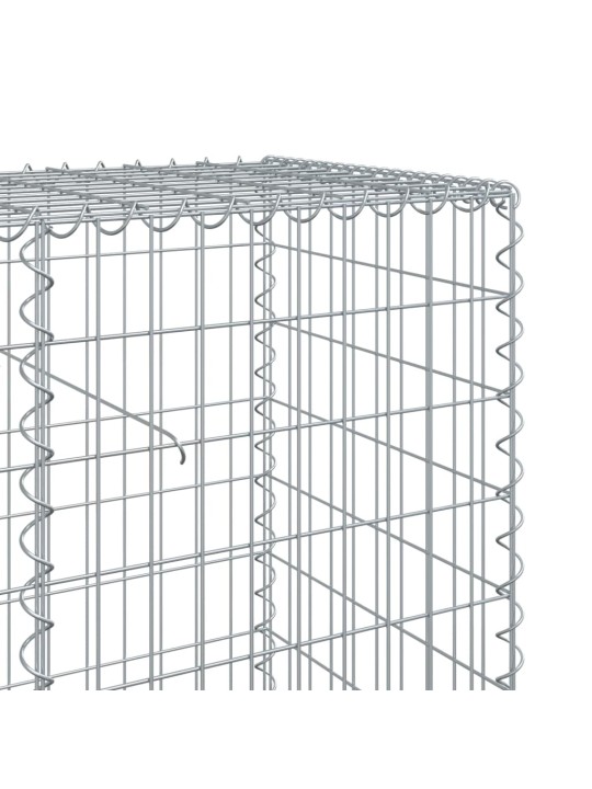 Kattega gabioonkorv, 200 x 50 x 100 cm, tsingitud raud