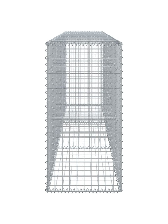 Kaanega gabioonkorv, 300x50x100 cm, tsingitud raud